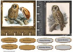Owl Toppers and Sentiment Tags