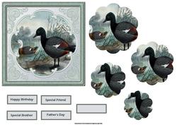 Ducks Swimming, Card and Petal Stackers