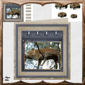 Leopard Resting 8x8 Card Mini Kit