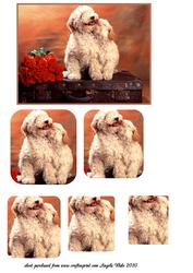 Puppy Love