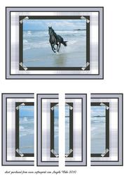 Horse Stallion in the Sea