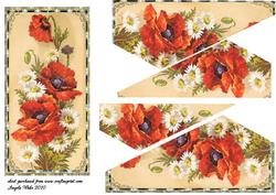 Poppies and Daisies