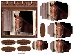 Star the Horse Card with Shaped Layers