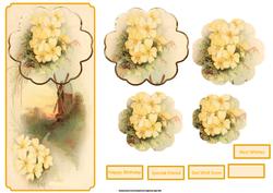 Primrose Dl Card with a Petal Stacker
