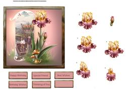 Pink Iris on the River Bank Card with Decoupage