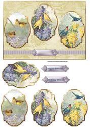 Spring Time Birds Panel Card with Toppers