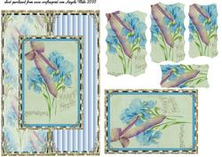 Iris's and Rinestones