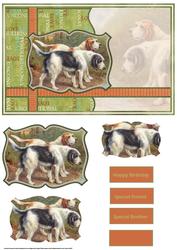 Otter Hounds Dogs with Stackers