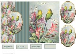 Green Budgerigars Fold Back Card
