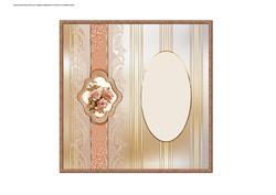 Lady of the Rose Insert