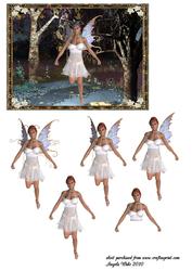 Forest Fairy