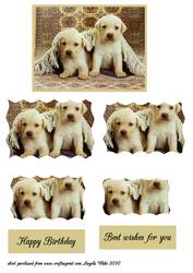 2 Rug Mutts-puppies Scalloped