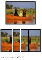 Doggies Day Out on the River