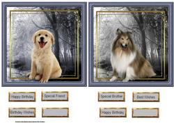 Dog Toppers and Sentiment Tags