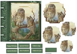 Two Owls Card with Shaped Layers