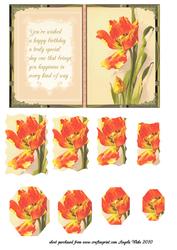 Tulips and Verse