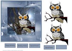 Night Owl in the Moonlight Card