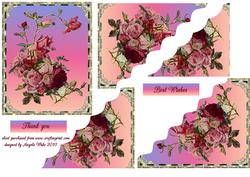 Rainbow of Roses