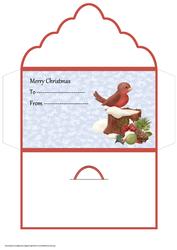 Robin Money Wallet Card