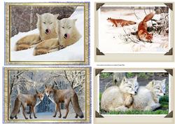 Fox Toppers, Arctic Fox, Red Fox, White Fox