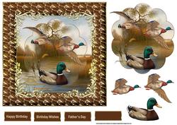 Swimming and Flying Mallards 7x7 Card