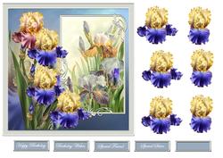 Iris 7x7 Card with Decoupage