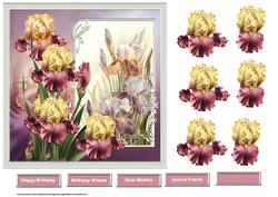 Pink Iris 7x7 Card with Decoupage