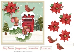 Letters for micemass