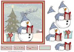 Gift for a snowman