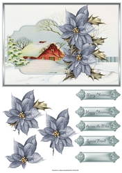 Blue poinsettias 