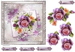 Rose and lace