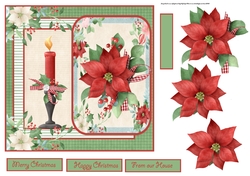 Poinsettia and candle