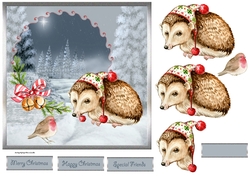 Merry Christmas, Mr Hedgehog