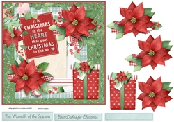 Poinsettias and gift
