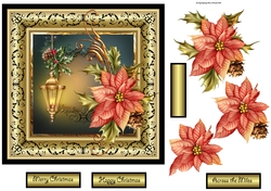 Lamplight and poinsettia