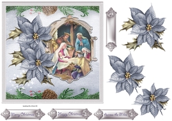 The Nativity