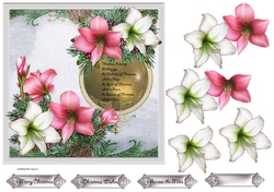 Flowers and good wishes