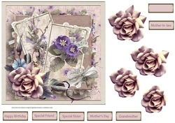 Floral variety