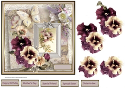 Pansy and butterfly