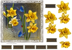 Golden daffodil