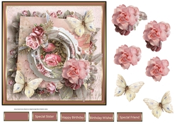 Rose and more roses