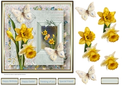 Daffodils and butterfly
