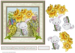 Spring rabbit