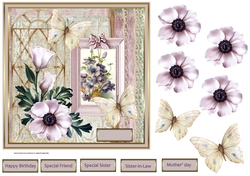 Anemone and lace
