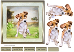 The Jack Russel terrier