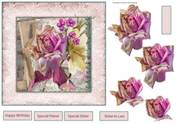 Pink English rose