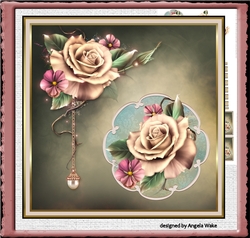 Champagne rose