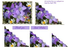 Spring Flowers