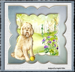 Labradoodle dog