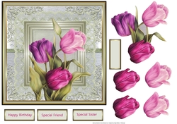Spring tulips